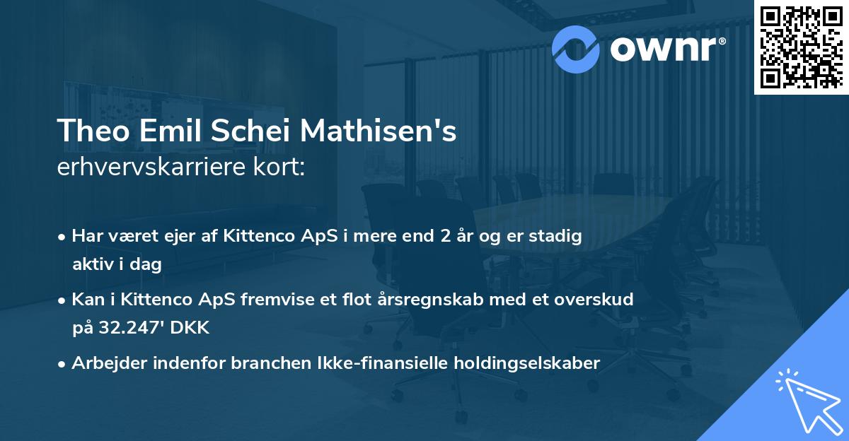 Theo Emil Schei Mathisen's erhvervskarriere kort