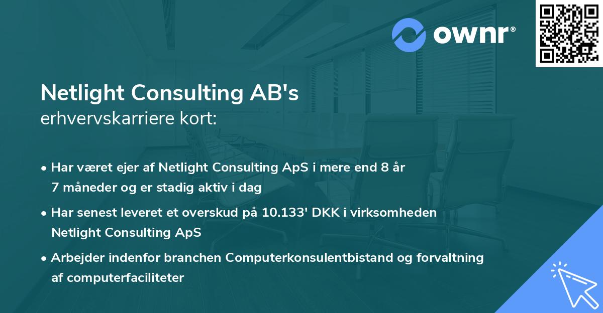 Netlight Consulting AB's erhvervskarriere kort