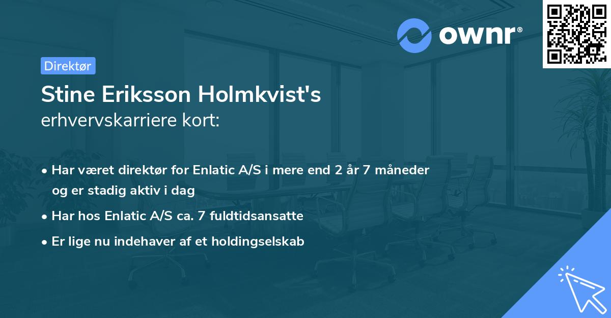 Stine Eriksson Holmkvist's erhvervskarriere kort