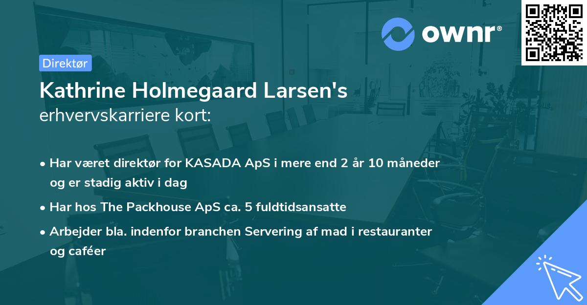 Kathrine Holmegaard Larsen's erhvervskarriere kort