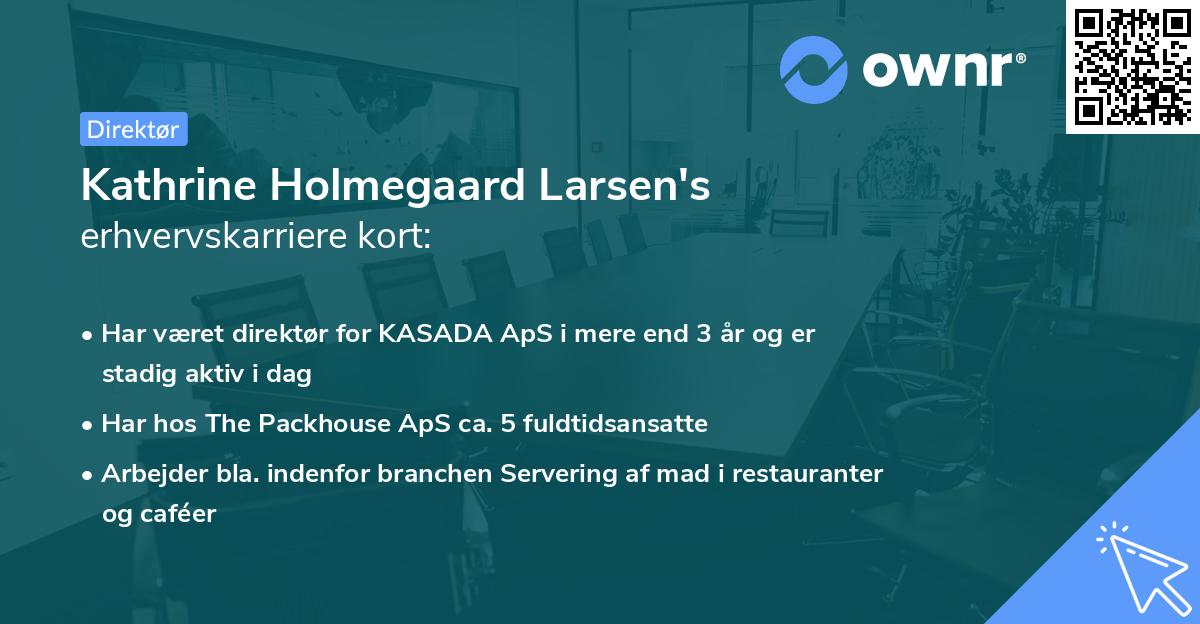 Kathrine Holmegaard Larsen's erhvervskarriere kort