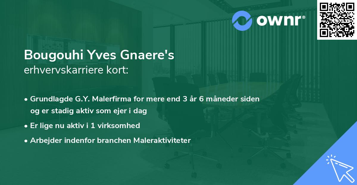 Bougouhi Yves Gnaere's erhvervskarriere kort