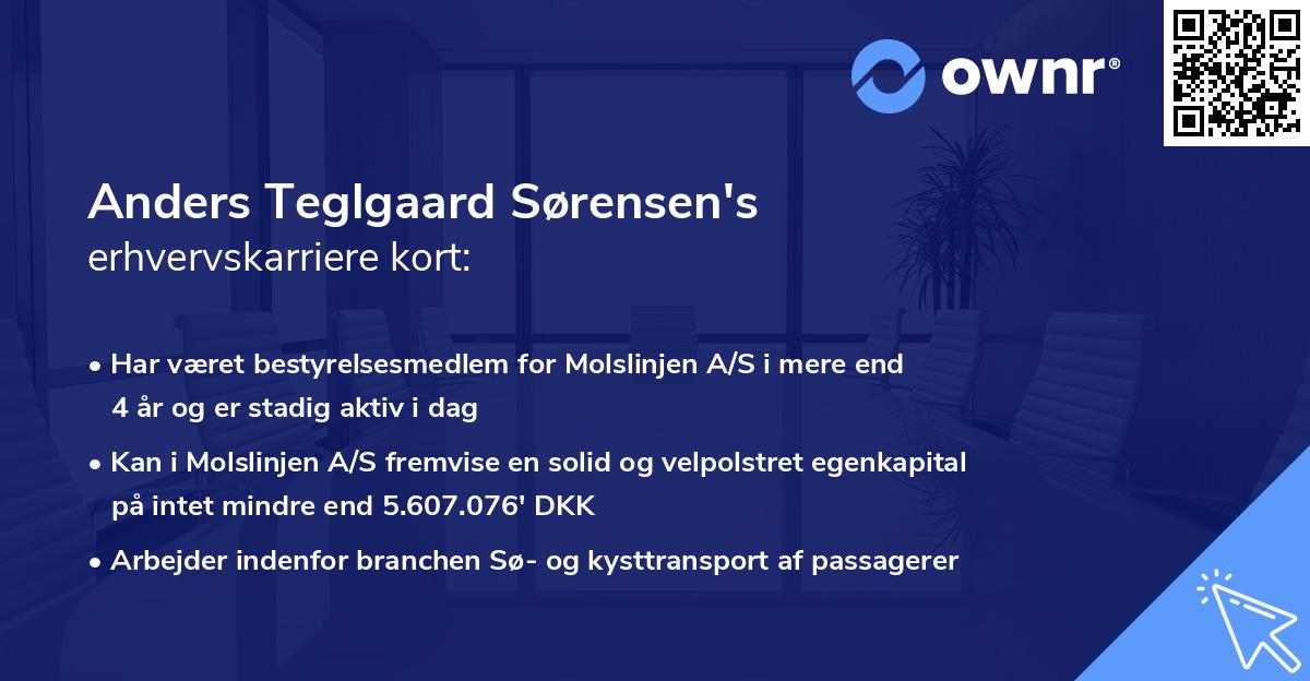 Anders Teglgaard Sørensen's erhvervskarriere kort