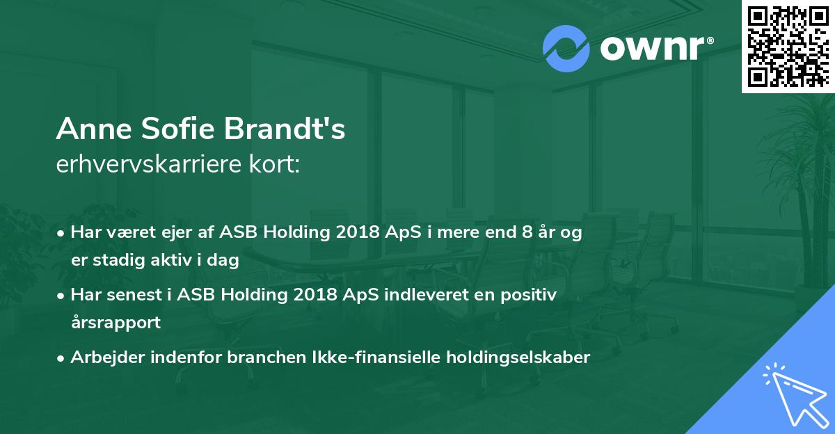 Anne Sofie Brandt's erhvervskarriere kort