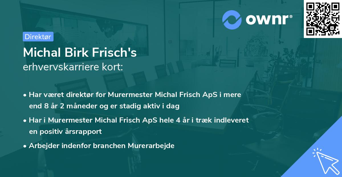 Michal Birk Frisch's erhvervskarriere kort
