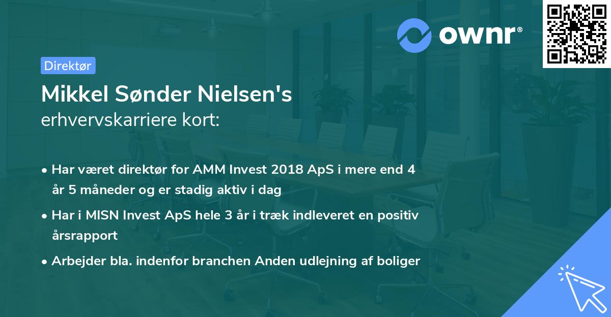 Mikkel Sønder Nielsen's erhvervskarriere kort