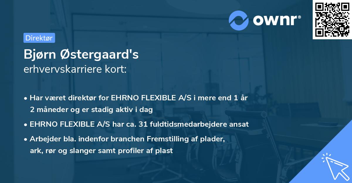 Bjørn Østergaard's erhvervskarriere kort