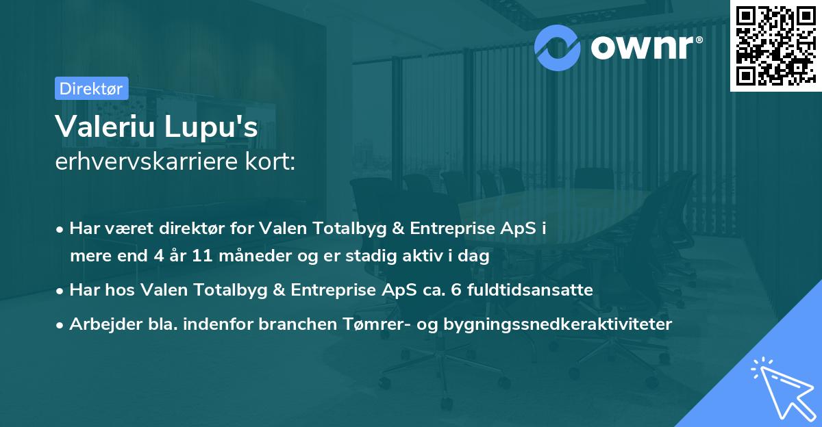 Valeriu Lupu's erhvervskarriere kort