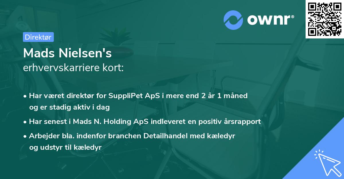 Mads Nielsen's erhvervskarriere kort