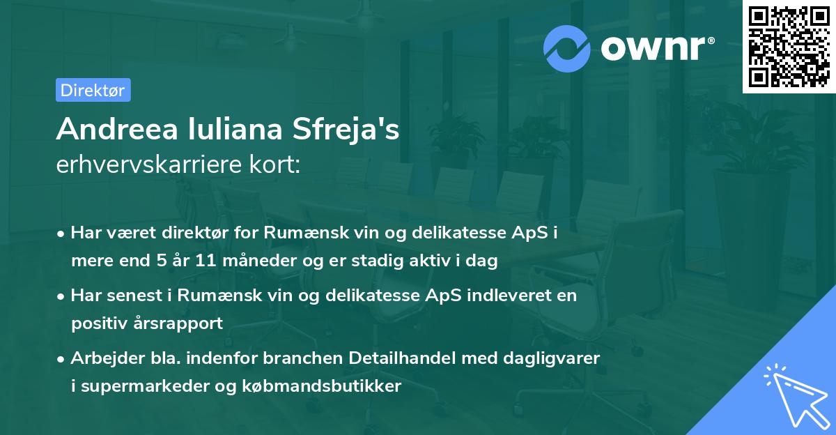 Andreea Iuliana Sfreja's erhvervskarriere kort
