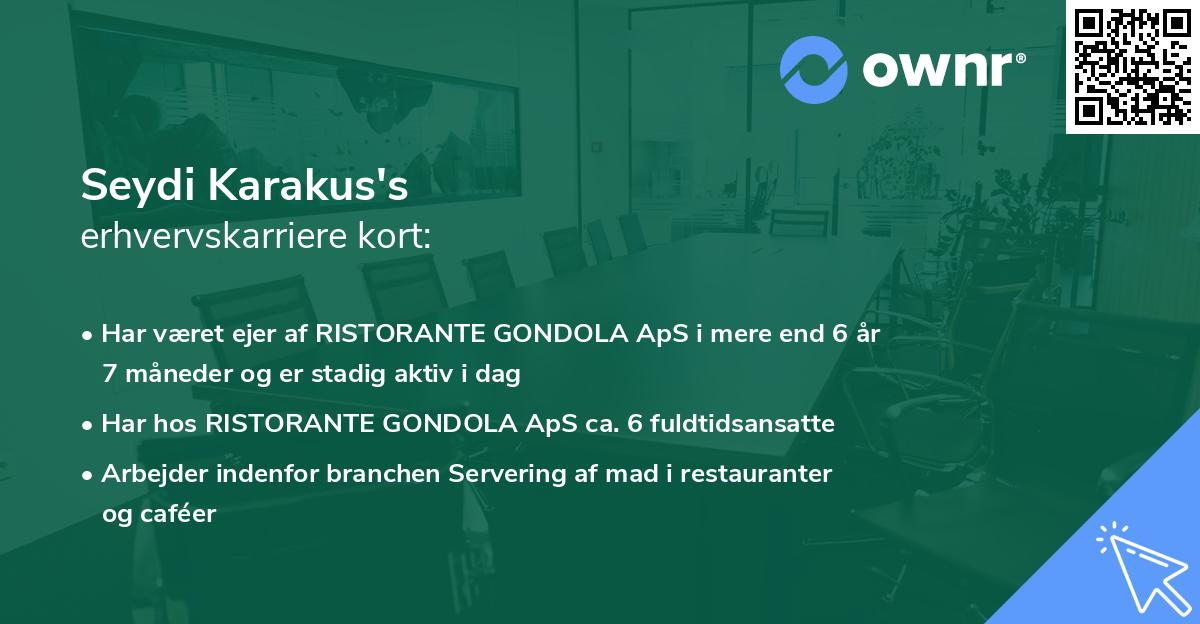 Seydi Karakus's erhvervskarriere kort