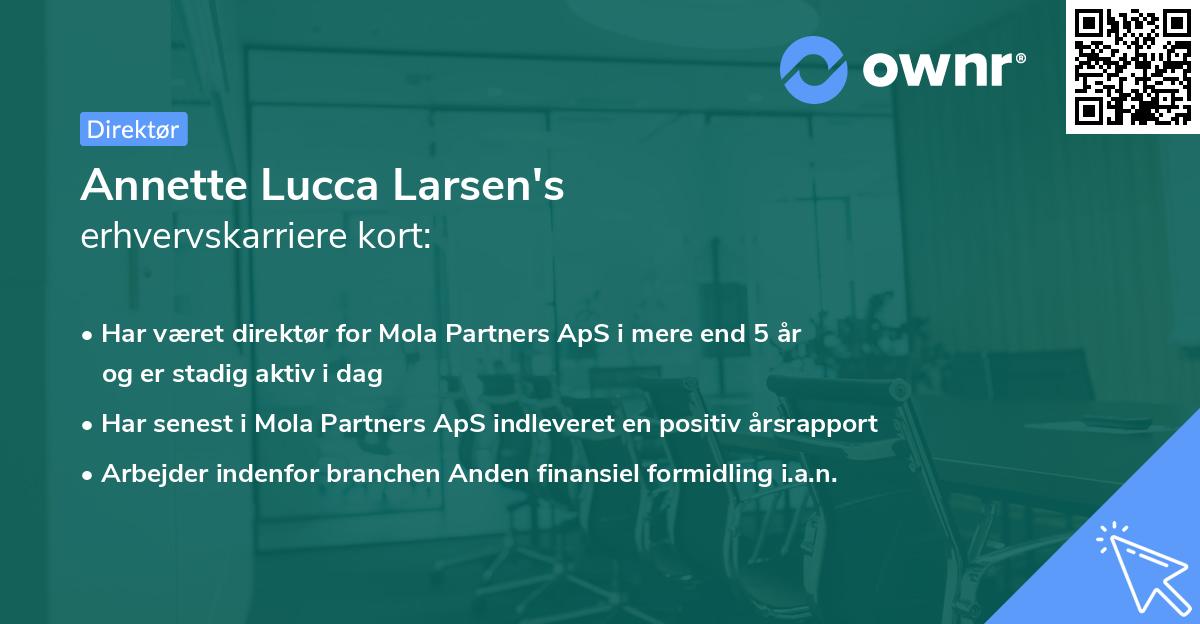 Annette Lucca Larsen's erhvervskarriere kort