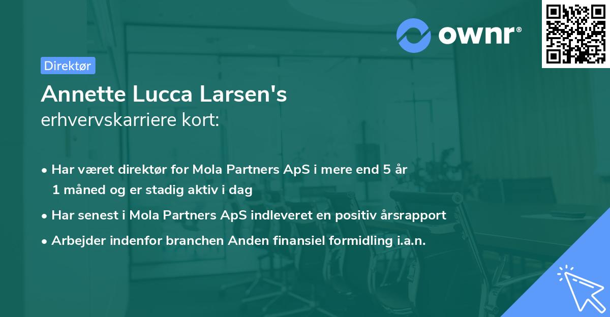 Annette Lucca Larsen's erhvervskarriere kort