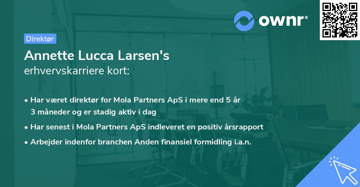 Annette Lucca Larsen's erhvervskarriere kort