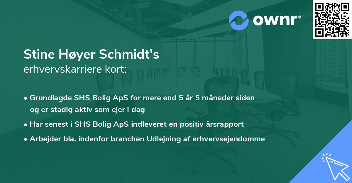 Stine Høyer Schmidt's erhvervskarriere kort