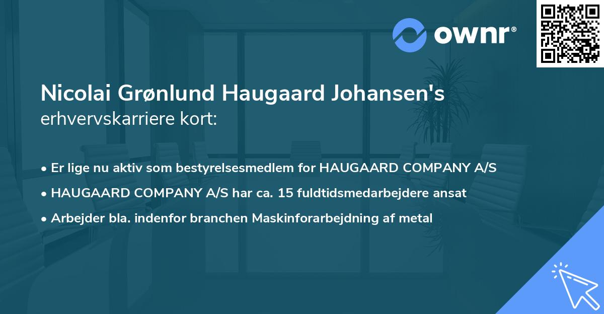 Nicolai Grønlund Haugaard Johansen's erhvervskarriere kort