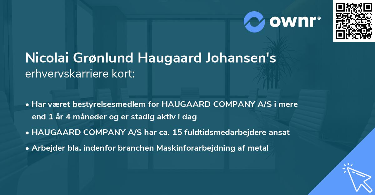 Nicolai Grønlund Haugaard Johansen's erhvervskarriere kort