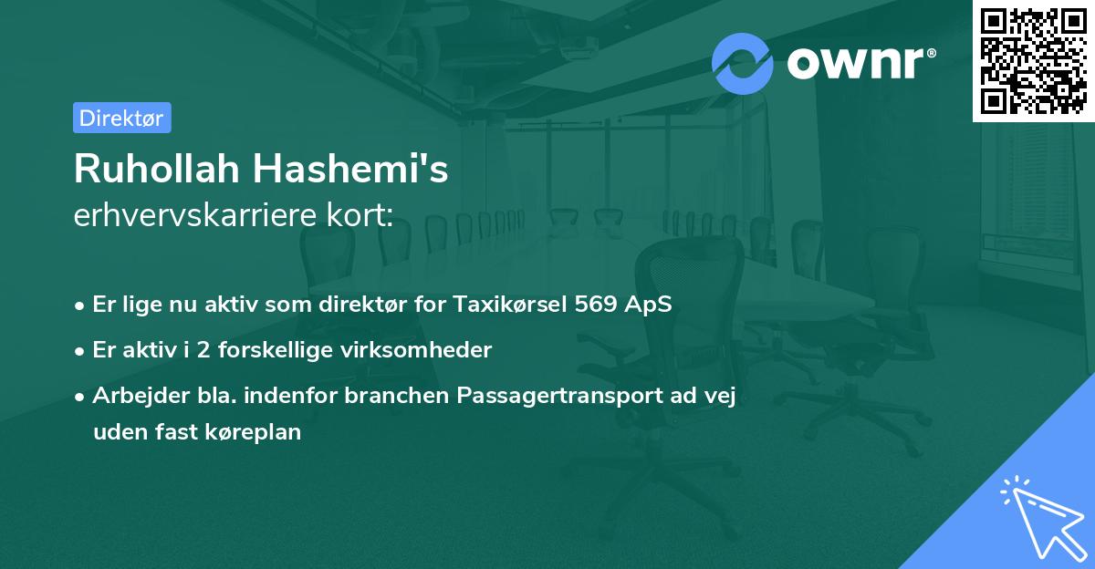 Ruhollah Hashemi's erhvervskarriere kort