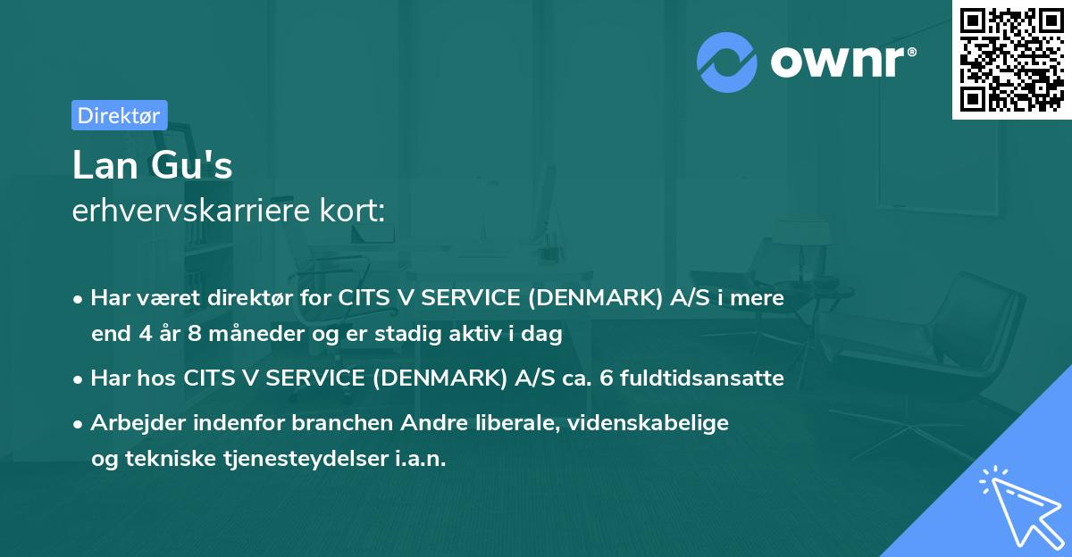 Lan Gu's erhvervskarriere kort