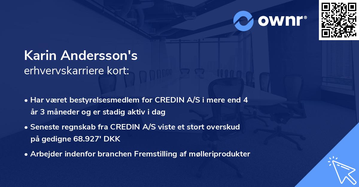Karin Andersson's erhvervskarriere kort