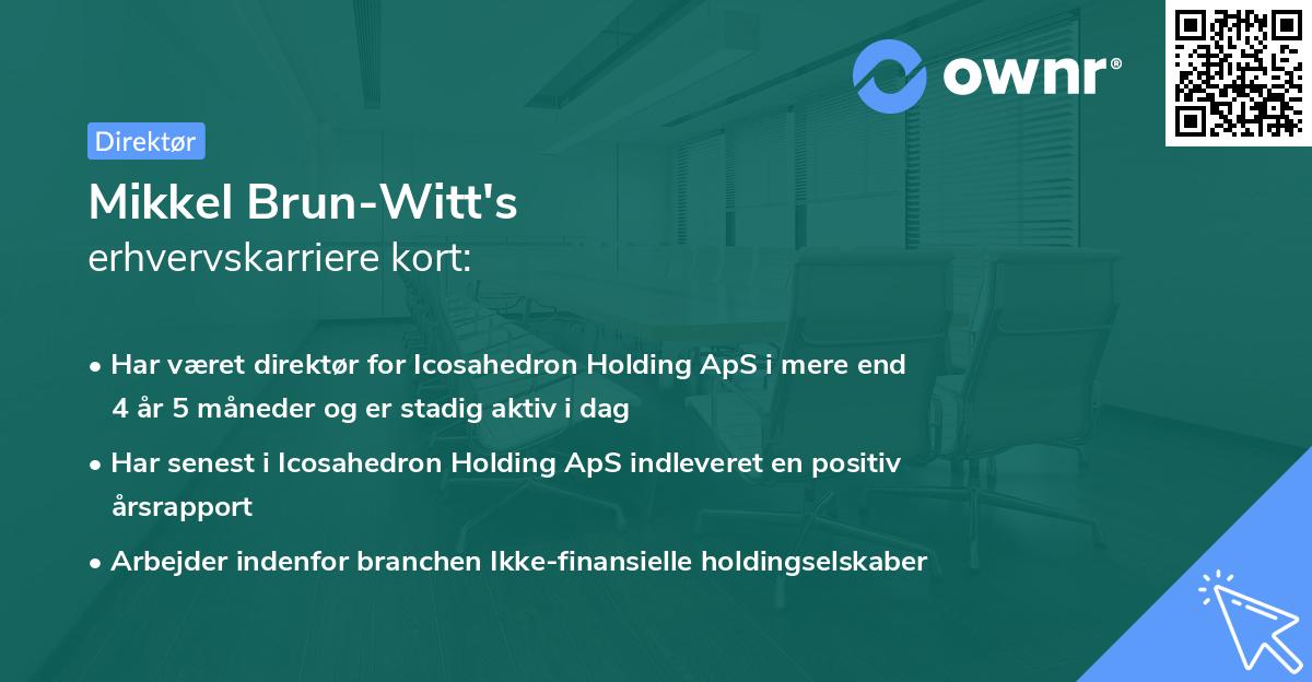Mikkel Brun-Witt's erhvervskarriere kort