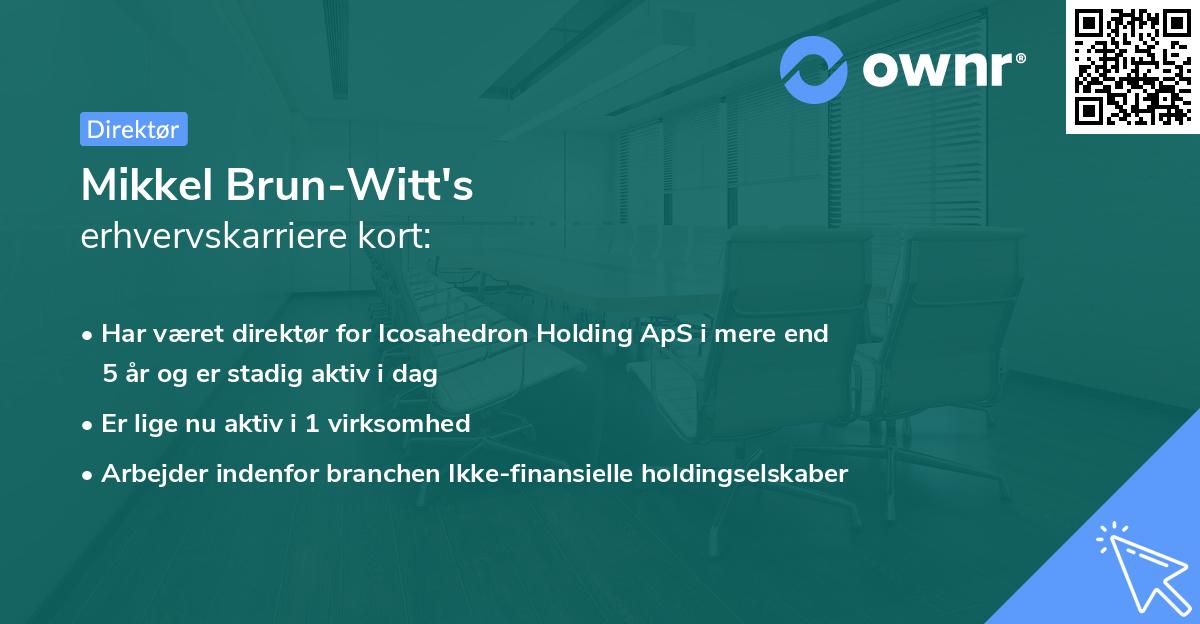 Mikkel Brun-Witt's erhvervskarriere kort