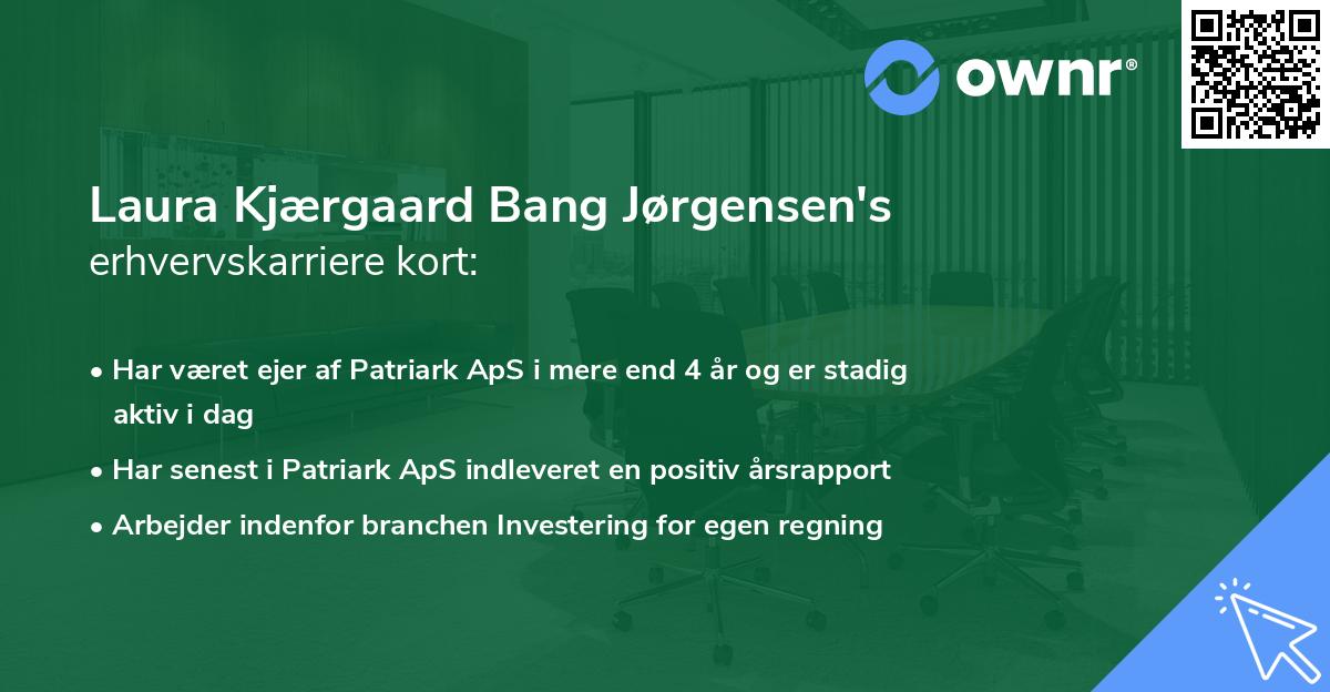 Laura Kjærgaard Bang Jørgensen's erhvervskarriere kort