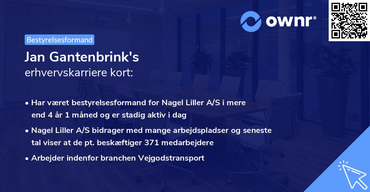 Jan Gantenbrink's erhvervskarriere kort