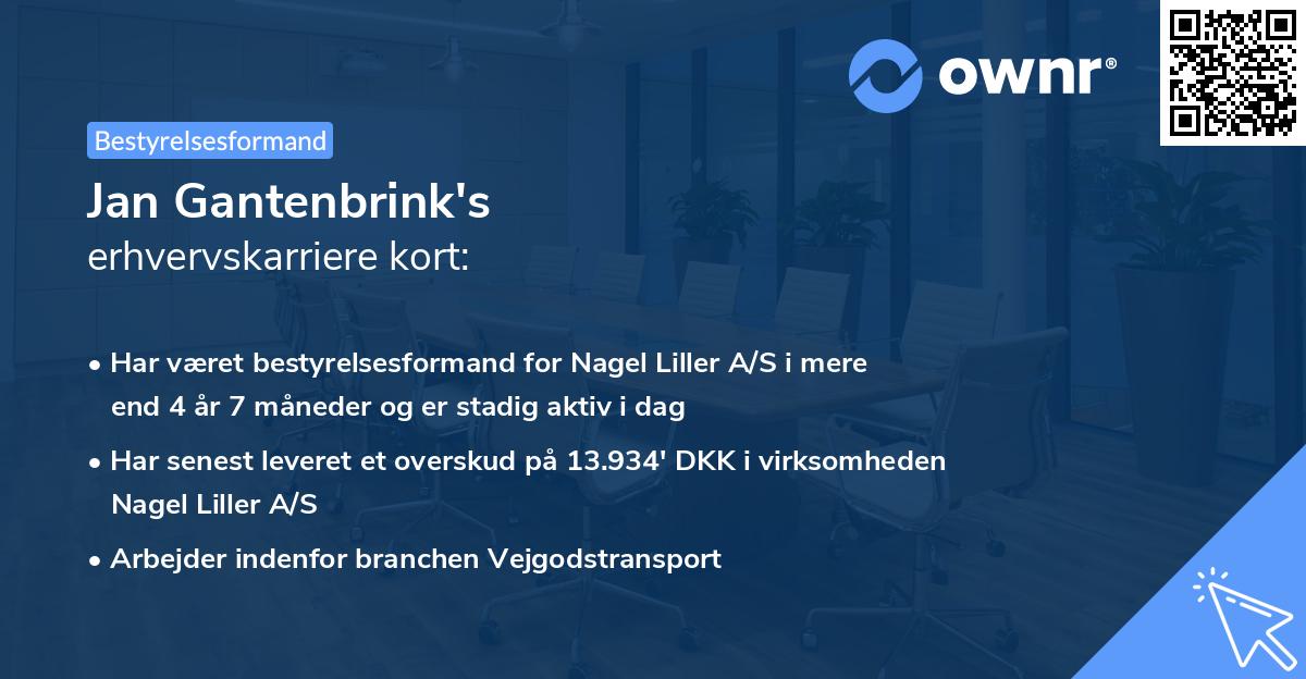 Jan Gantenbrink's erhvervskarriere kort