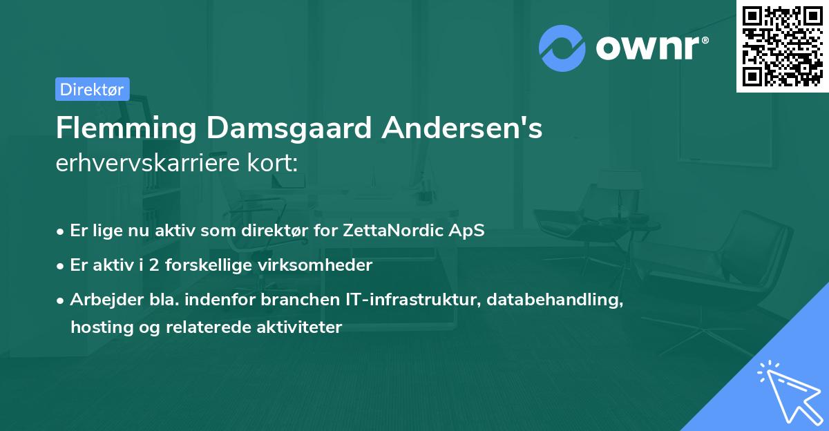 Flemming Damsgaard Andersen's erhvervskarriere kort