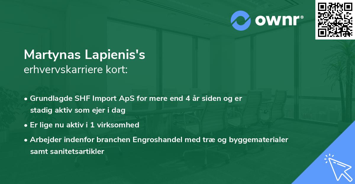 Martynas Lapienis's erhvervskarriere kort