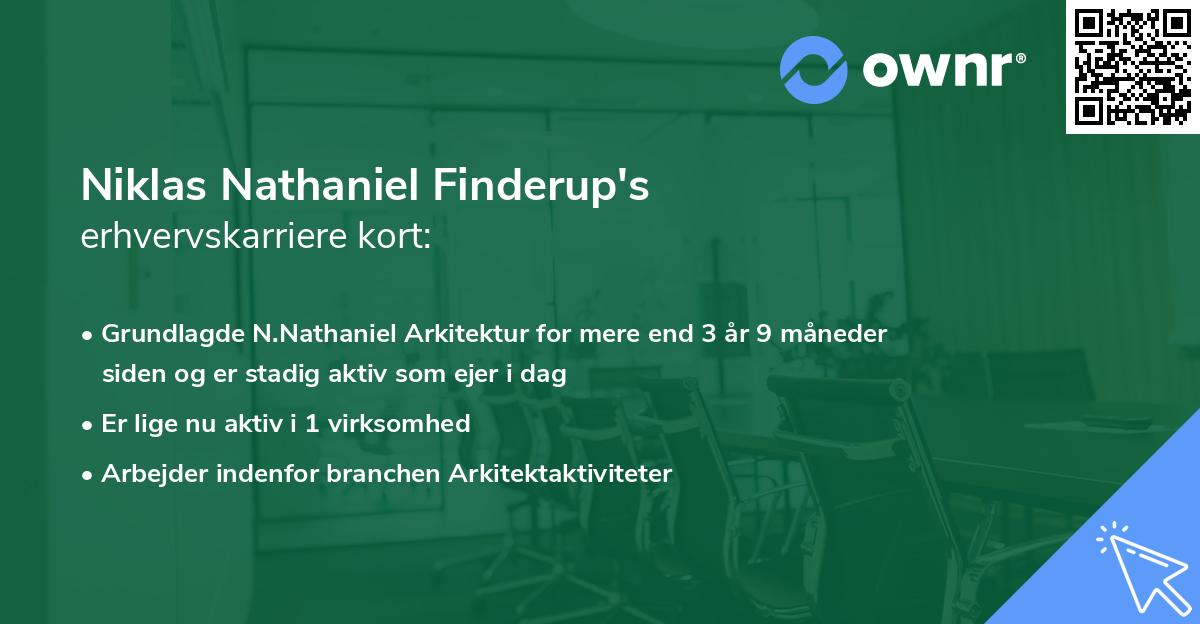 Niklas Nathaniel Finderup's erhvervskarriere kort