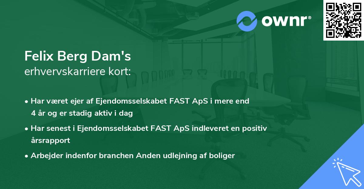 Felix Berg Dam's erhvervskarriere kort