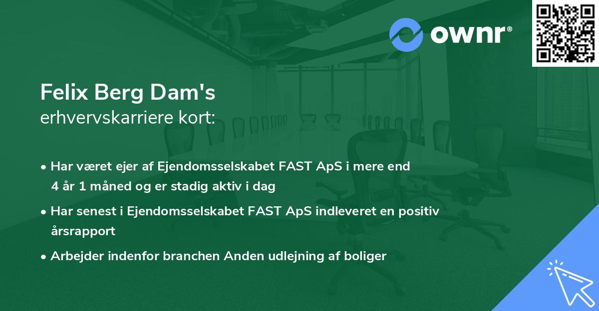 Felix Berg Dam's erhvervskarriere kort