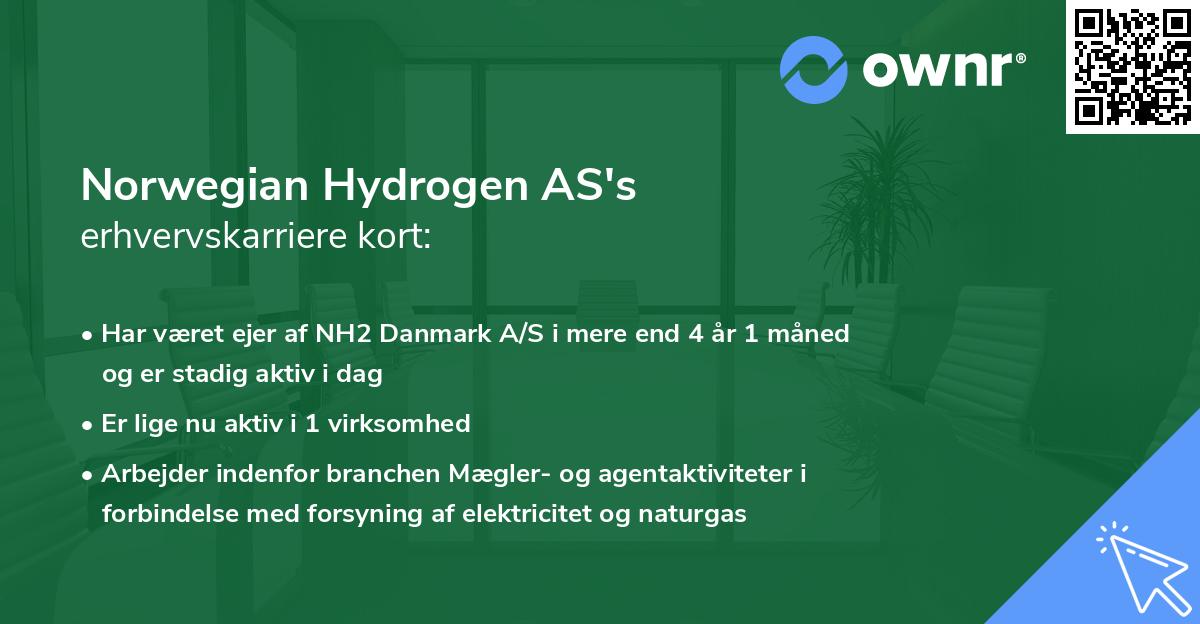 Norwegian Hydrogen AS's erhvervskarriere kort