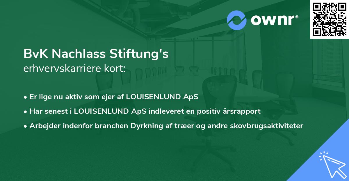 BvK Nachlass Stiftung's erhvervskarriere kort