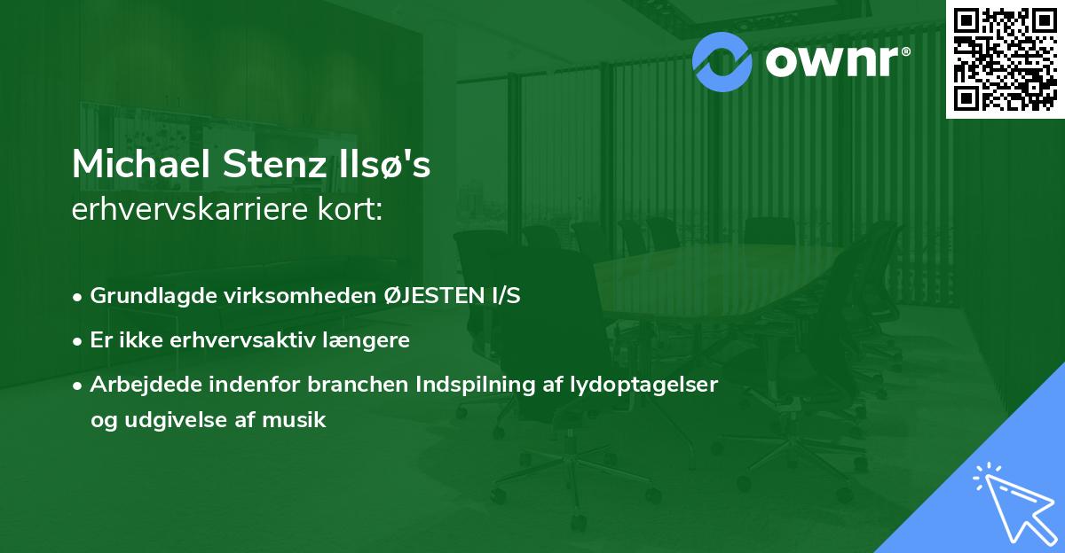 Michael Stenz Ilsø's erhvervskarriere kort
