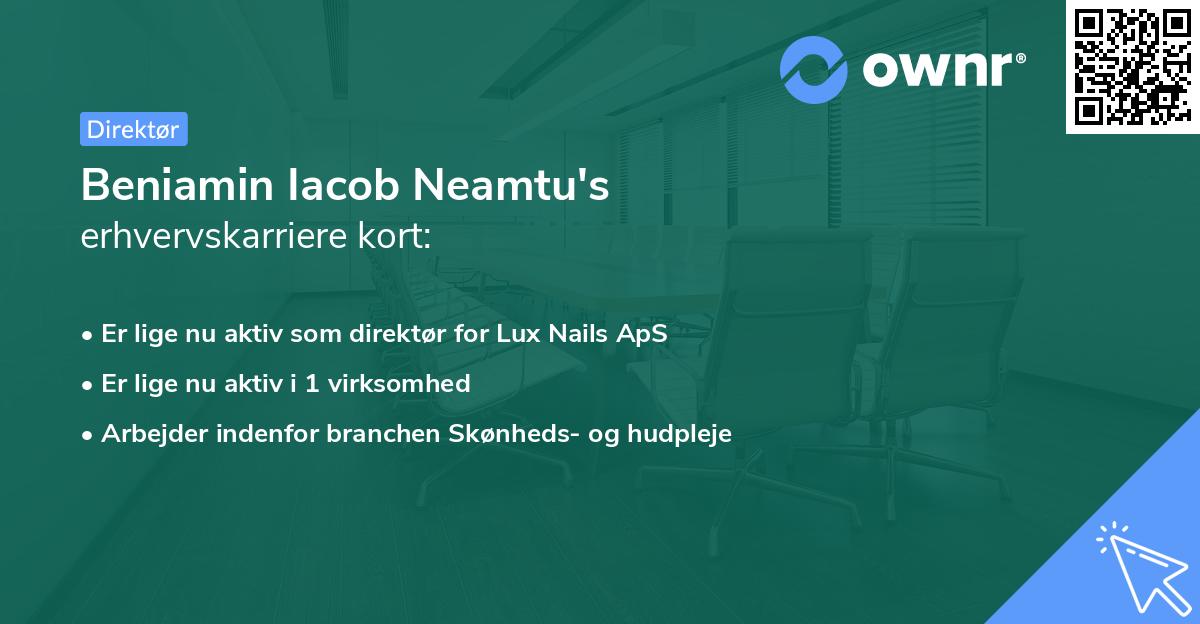 Beniamin Iacob Neamtu's erhvervskarriere kort