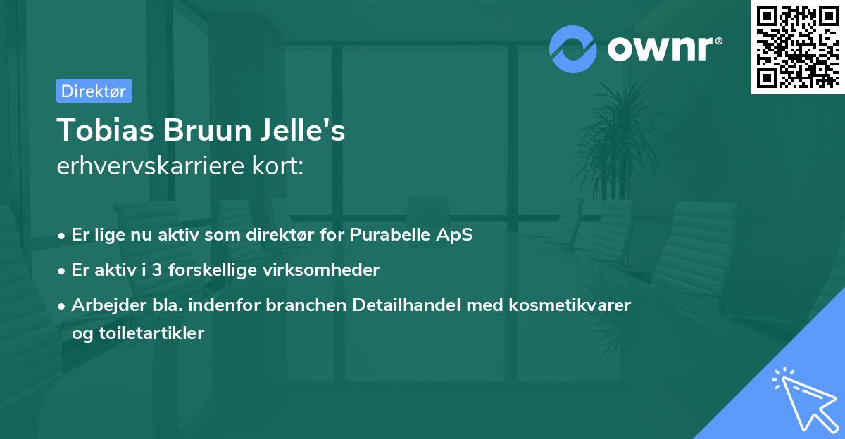 Tobias Bruun Jelle's erhvervskarriere kort
