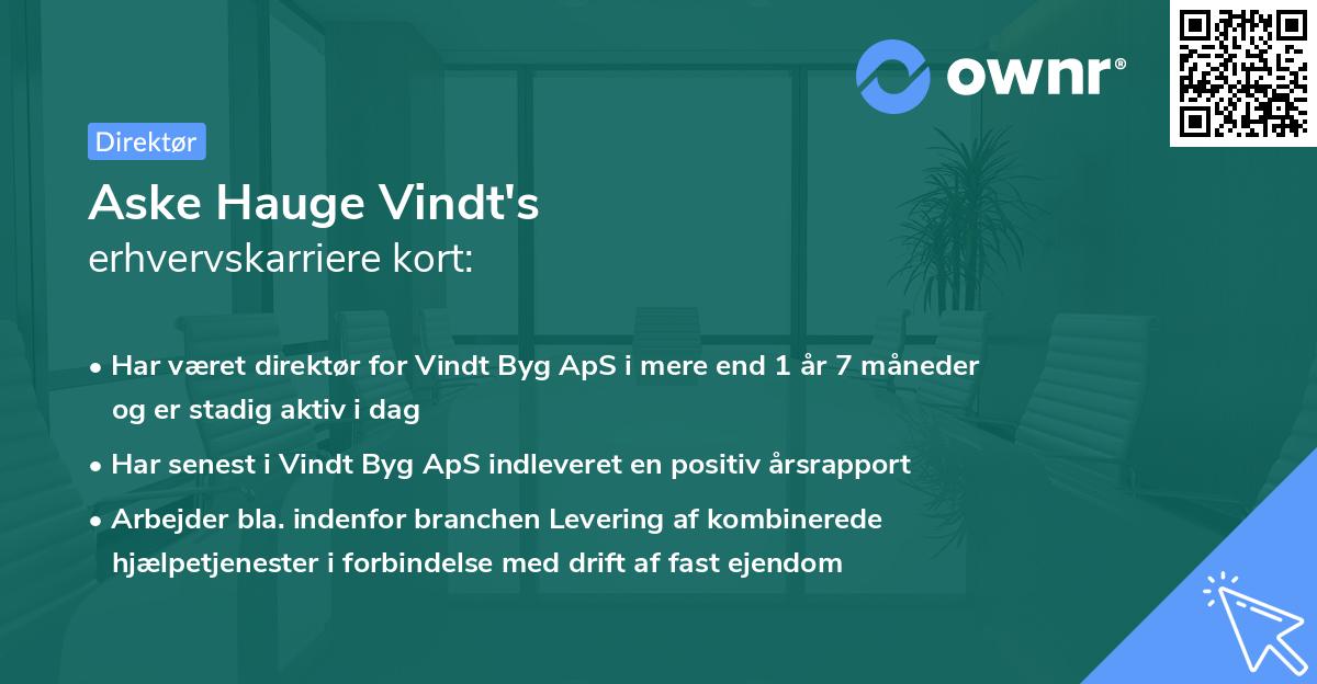 Aske Hauge Vindt's erhvervskarriere kort
