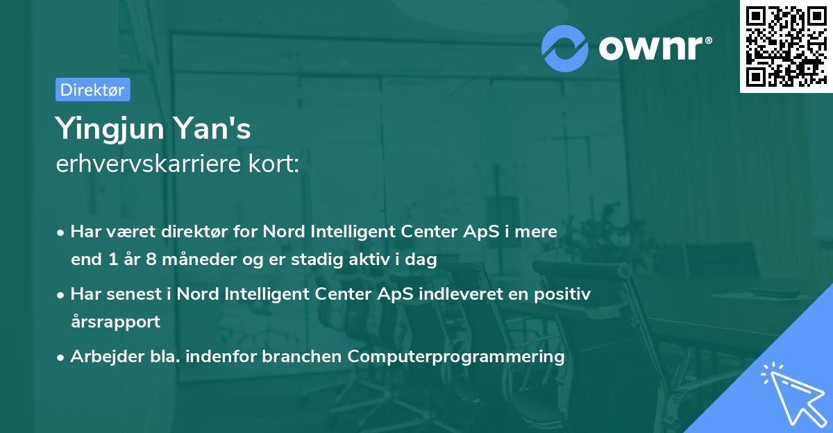 Yingjun Yan's erhvervskarriere kort