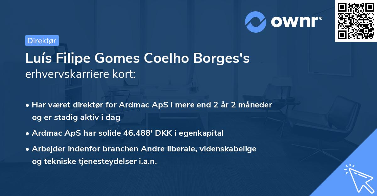 Luís Filipe Gomes Coelho Borges's erhvervskarriere kort
