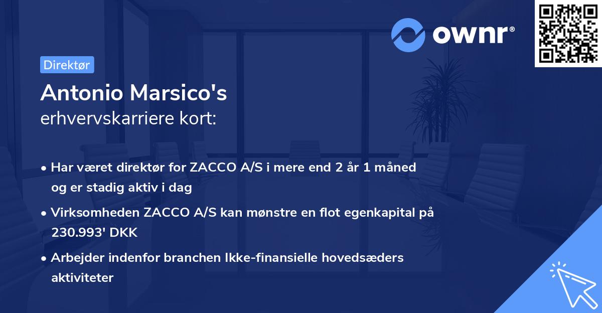 Antonio Marsico's erhvervskarriere kort