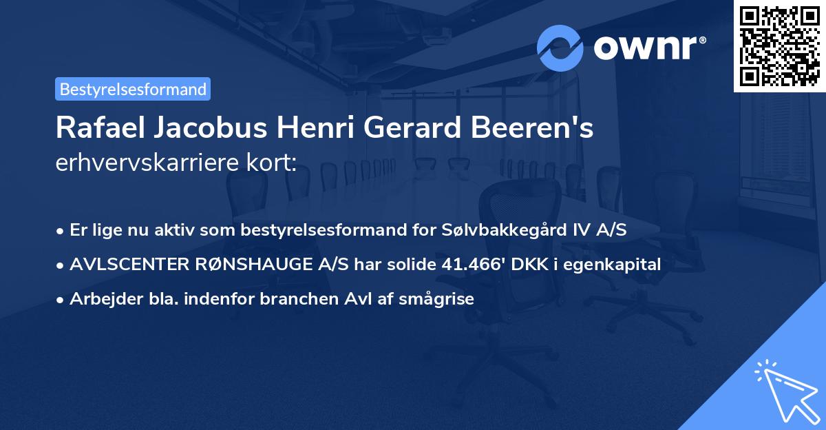 Rafael Jacobus Henri Gerard Beeren's erhvervskarriere kort