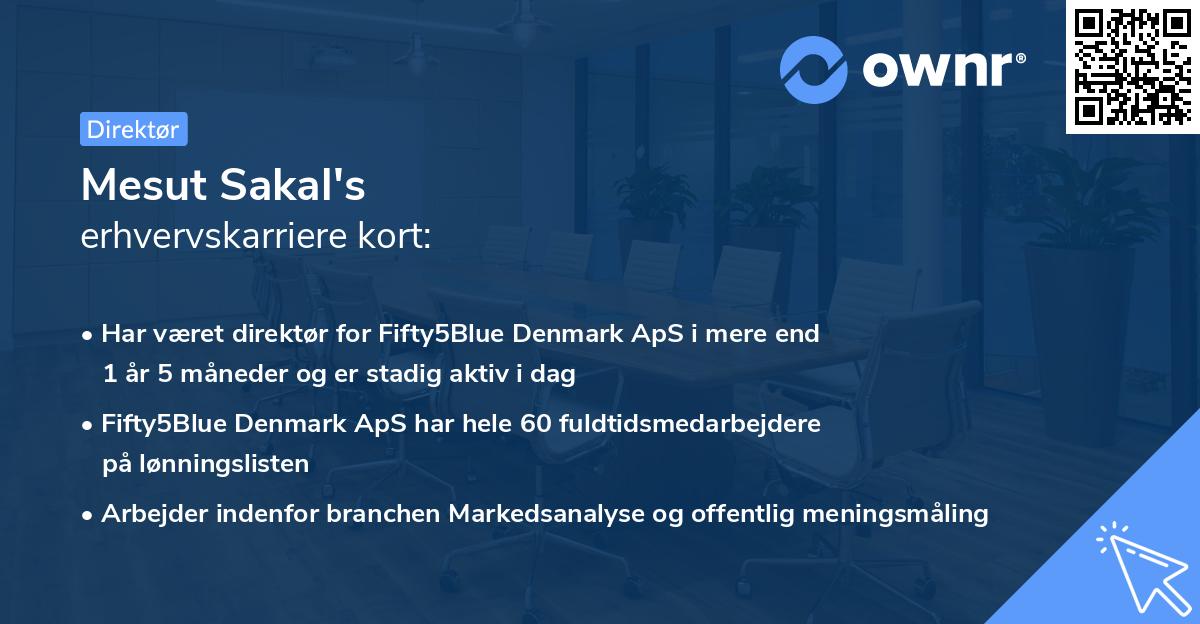 Mesut Sakal's erhvervskarriere kort