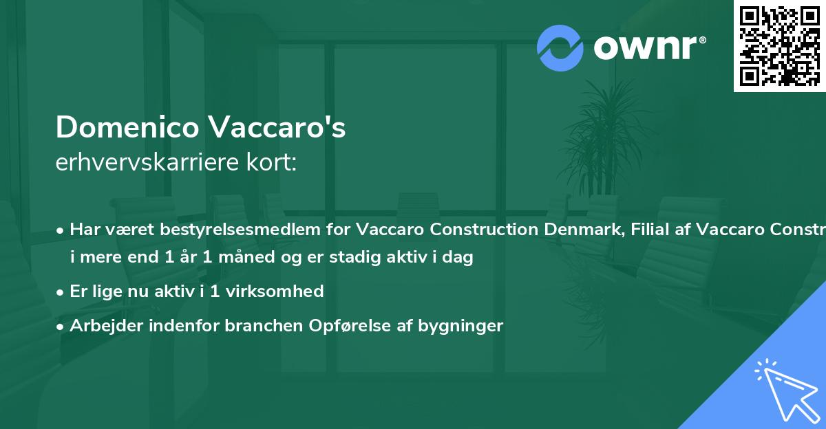 Domenico Vaccaro's erhvervskarriere kort