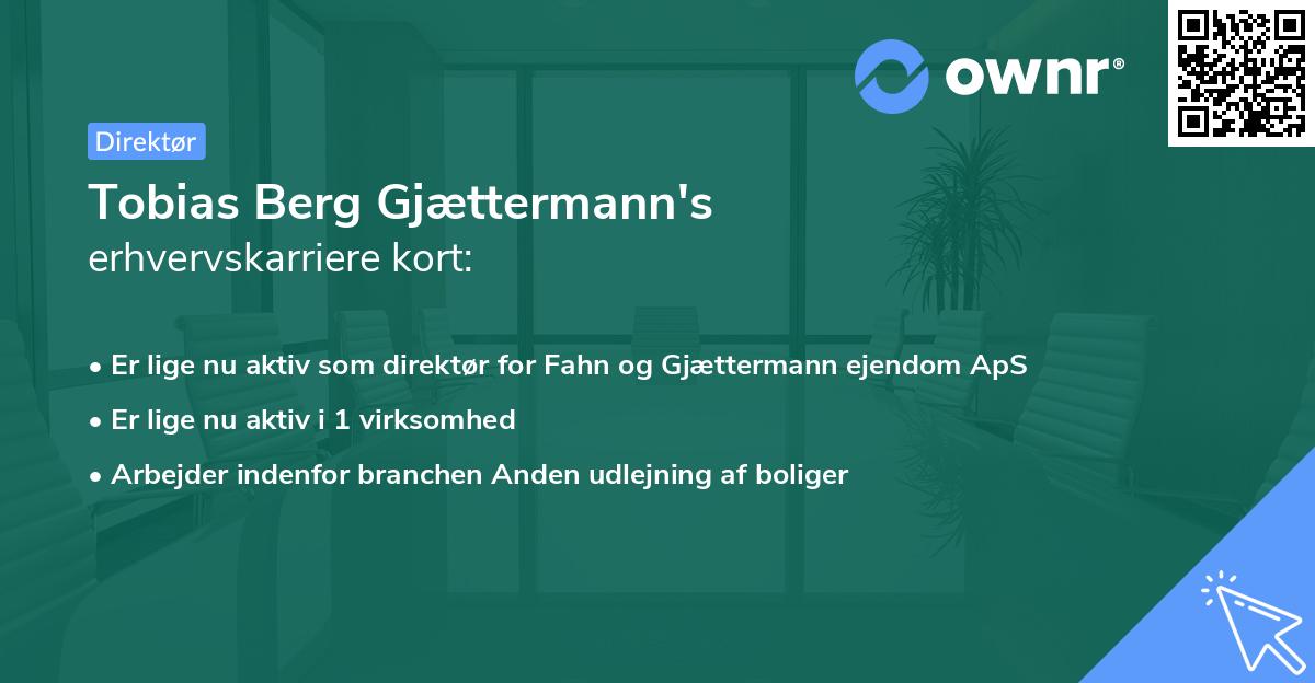 Tobias Berg Gjættermann's erhvervskarriere kort