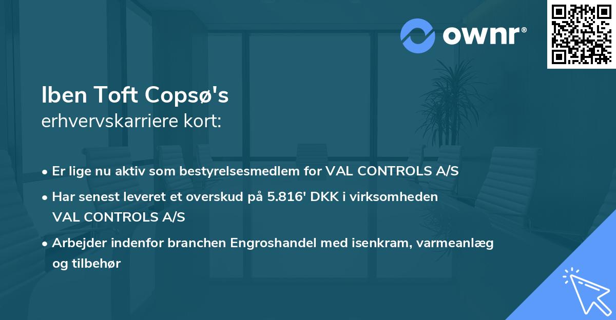 Iben Toft Copsø's erhvervskarriere kort