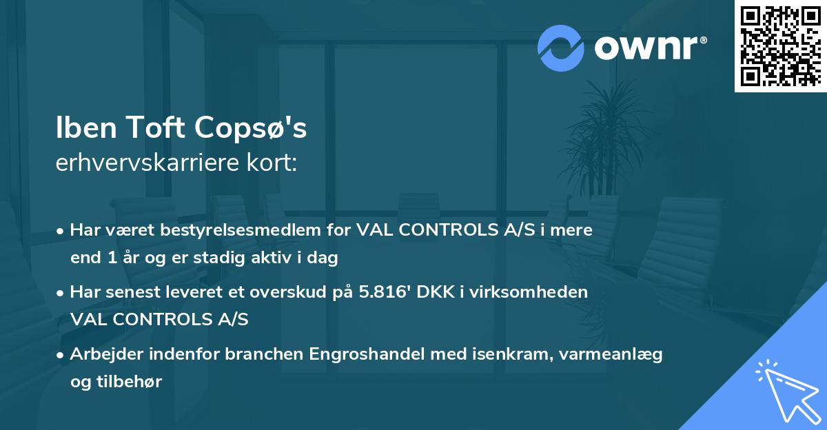 Iben Toft Copsø's erhvervskarriere kort