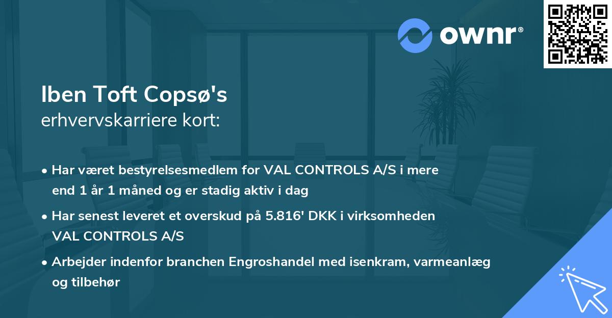 Iben Toft Copsø's erhvervskarriere kort